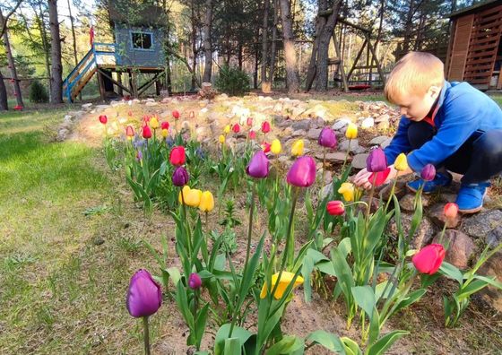 Domek  Fajno Chałupa Konarzyny 