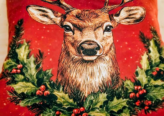 Apartament Krynica-Zdrój  Central