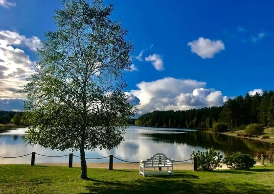 Agroturystyka Farma Noe Luboń