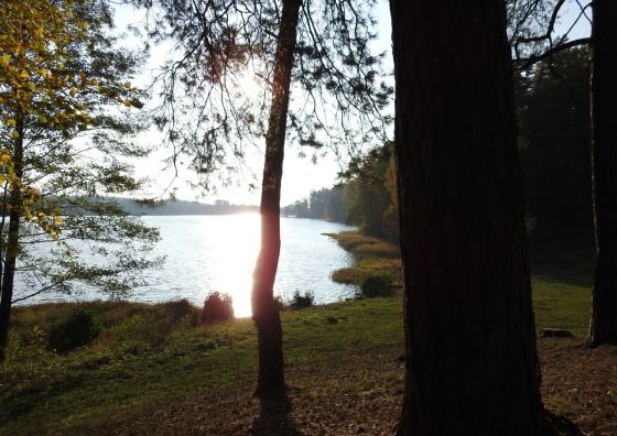 Domki na Chabrowej Augustów