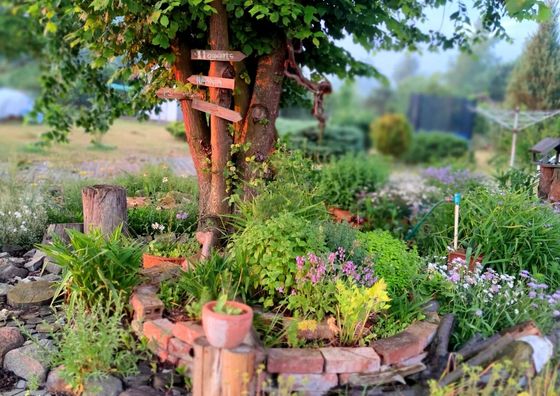 Domki całoroczne Żurawisko Jesiona