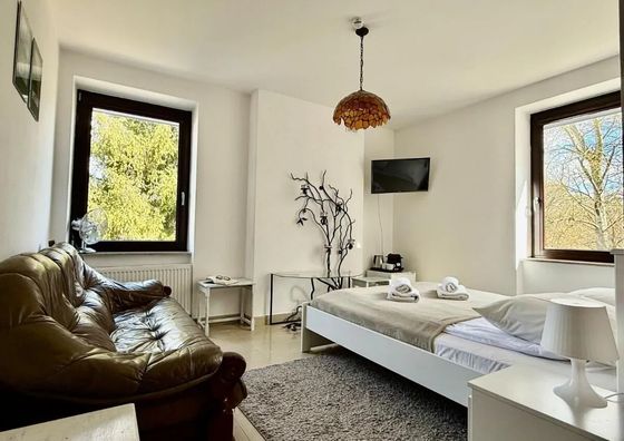EASY RENT Apartments- Willa Alba Brązowa Sowa Nałęczów