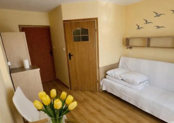 Willa Oliwka Chłapowo