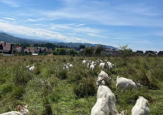 Willa Toskański Zakątek Kluszkowce