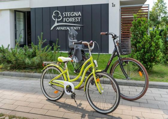 Stegna Forest-Apartament dwupokojowy nr 11