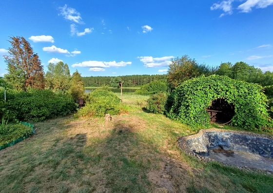 SUPy, Krokodyl & Las Trzebiechowo