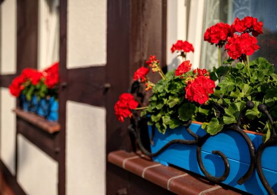 Chata Rybacka Saule Ustka 