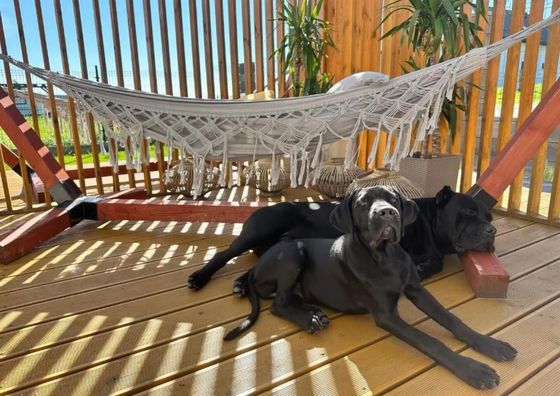 Domki Krasne Morze Mielenko