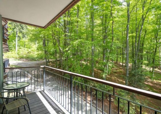 Karkonosky Apartamenty - Różany 