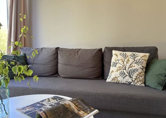 Dzika Brzoza Apartamenty Dwupoziomowe Rusinowo