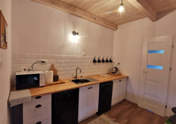 Apartament Ludowy w Siedlisku pod Orzechem Przyłęk