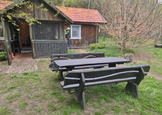 Dom Pod Brzozami Lipinki Bory Tucholskie basen - psy, koty mile widziane