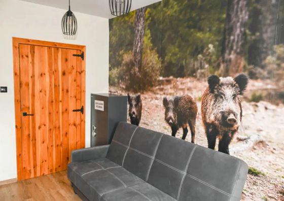 Apartamenty Sękowa Ostoja Leszczyny