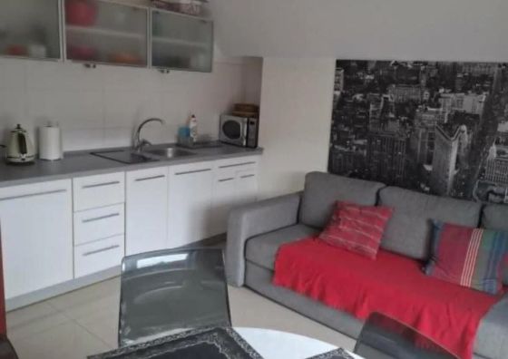 Apartament Jaśkowy Żarnowska