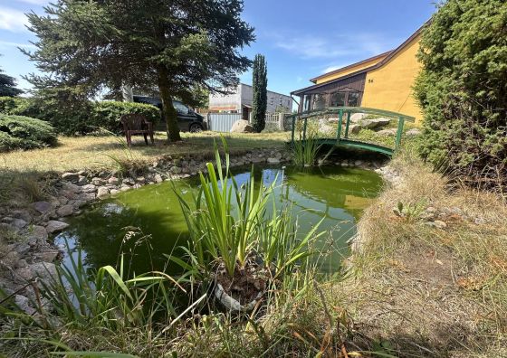 Noclegi Bartodzieje 56