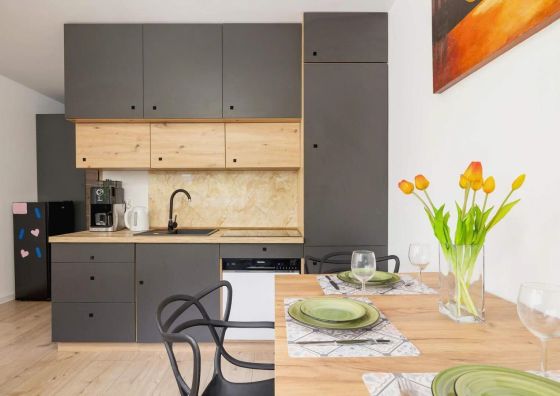Komfortowy Apartament | Balkon | Park Śląski, Zoo Katowice
