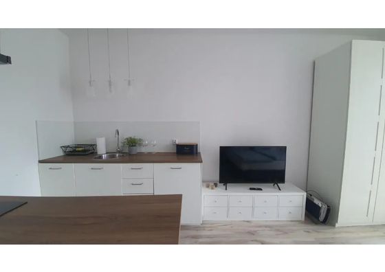 Perfect Stay - Apartament Horzyca 10 Toruń