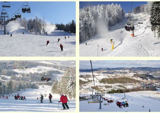 Pokoje i domek u Uli Piwniczna Zdrój