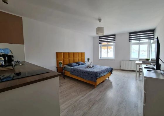 Perfect Stay  - Apartament Horzyca 14 Toruń