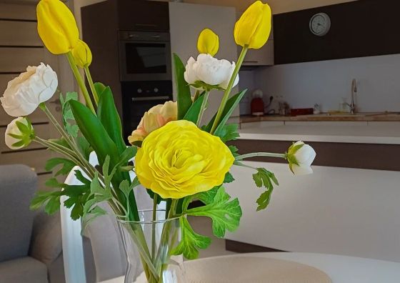 Apartament SilentHome Święta Katarzyna