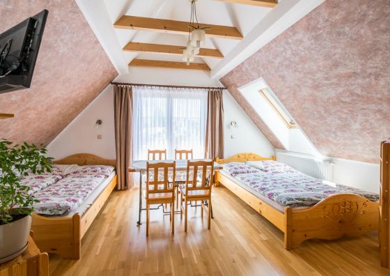 Pod Jelonkiem- pokoje Czarna Góra