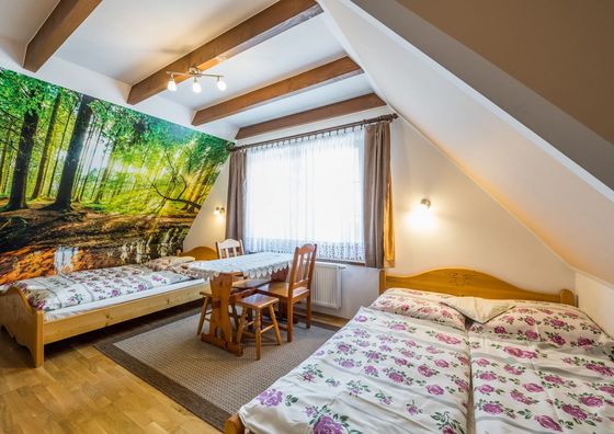 Pod Jelonkiem- pokoje Czarna Góra