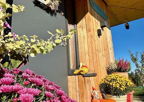 Domek Tatry Bukowina Tatrzańska