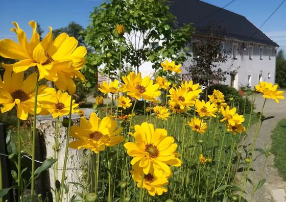 Agroturystyka błogoStany, dawniej Leszczynki Stankowice