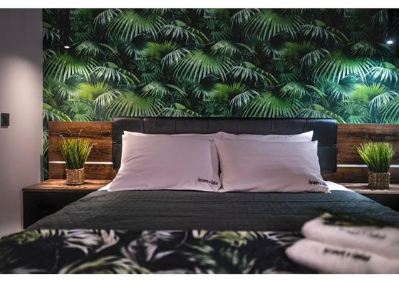 Apartament w Cieplicach Comfort Jelenia Góra