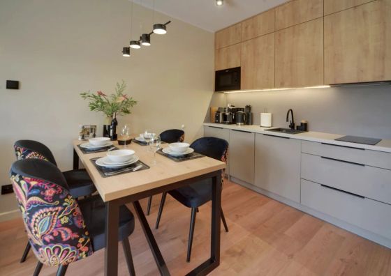 Apartament Vip Dębowy 1 - Stone Hill Szklarska Poręba