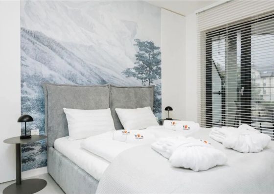 MS Pro Belle View Szklarska Poręba Apartament Premium 1