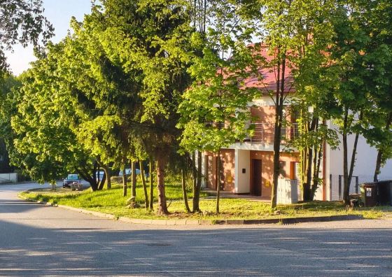 Apartament Golden Polanica Zdrój 