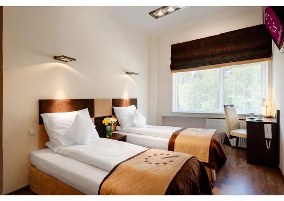 Boutique Hotel's Sosnowiec