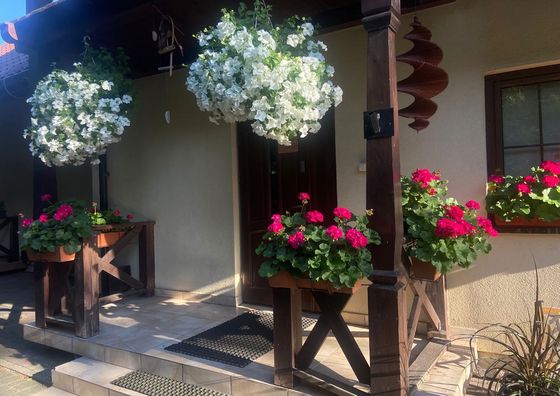 Willa Faustynka Nałęczów