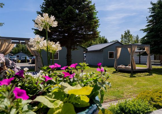 Willa Alexandria Karwia