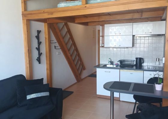 Apartament Gwiazdorski Viva Maria Zakopane