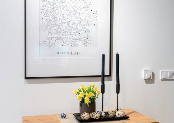 Wilaneska Apartament Olimpijska Szczyrk