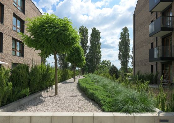 Apartament 