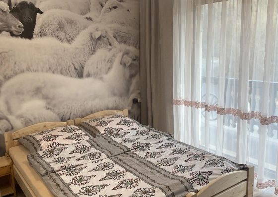 Apartamenty i Pokoje KAMESZKA
