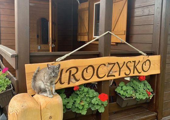 Leśny Zakątek Uroczysko -Domek Alpejski z balią 