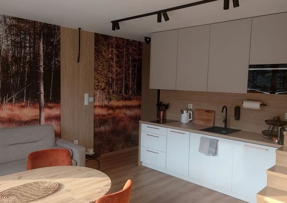 Apartament Black Hill GINGER blisko Zieleńca