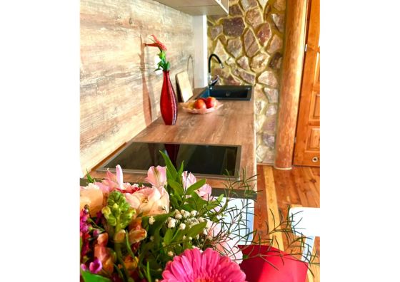 Willa Drzewiec Mielenko