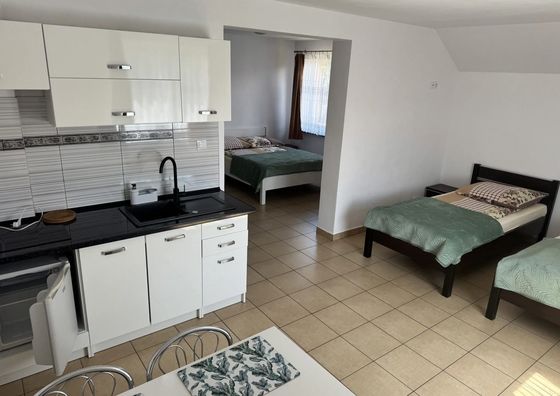 Willa Aleksander Rowy