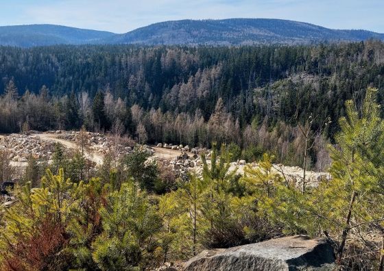 Domki Górska Przystań Duszniki