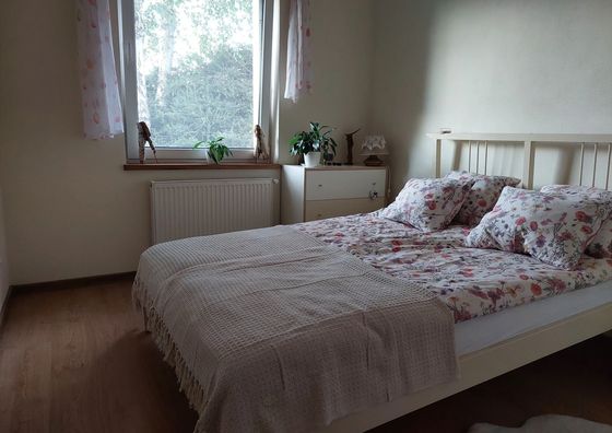 Domek Na Wsi Międzychód