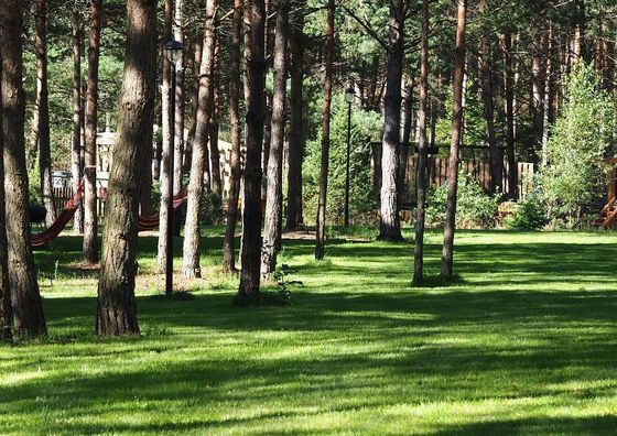 Osada Kukówko Wdzydze Tucholskie