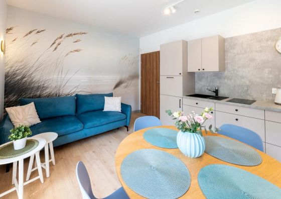 Apartamenty Brzozowe Zacisze