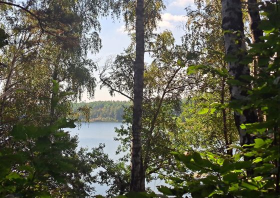 Przyleśne Domki Blisko Jeziora - Mazury
