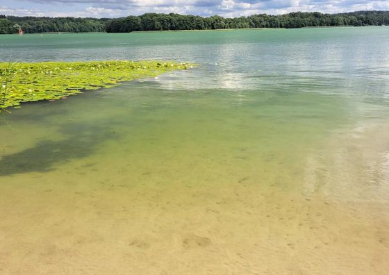 Mazurska Ostoja Na Półwyspie