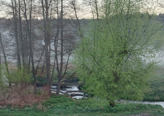 Domek całoroczny Hutki 57